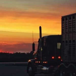 Meet your Posher, Christy